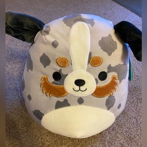 Raylor Squishmallow! ☀️